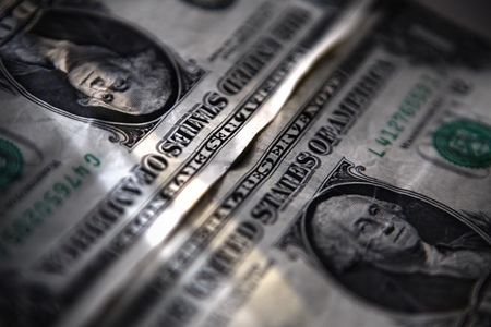 Dollar gets respite as virus surge, Georgia runoffs curb risk sentiment