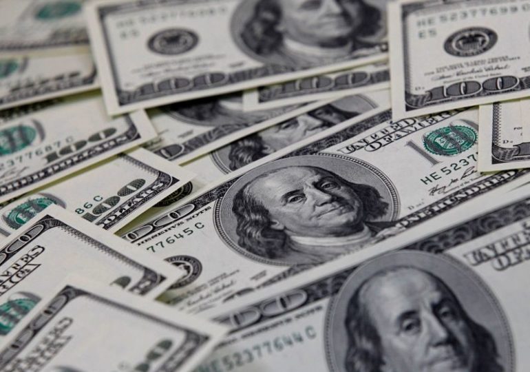 Dollar supported by haven demand after retail frenzy bruises risk sentiment