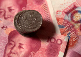 Russian business lobby calls for c. bank to accelerate yuan reserves By Reuters