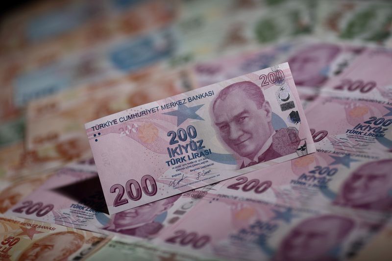 Turkish lira rebounds after hitting record lows